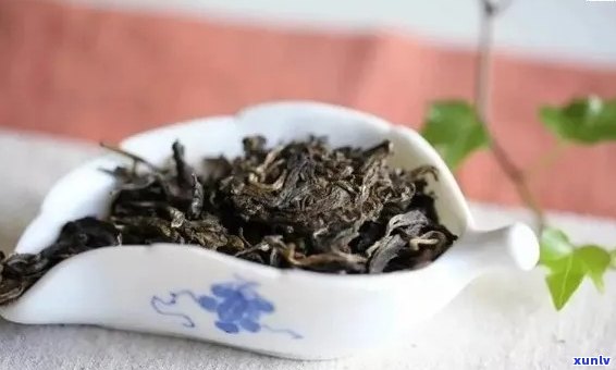 怎么样分辨普洱茶的好差：掌握这四个技巧，轻松鉴别普洱茶的品质