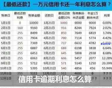 2019年信用卡逾期金额