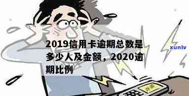 2019年信用卡逾期金额