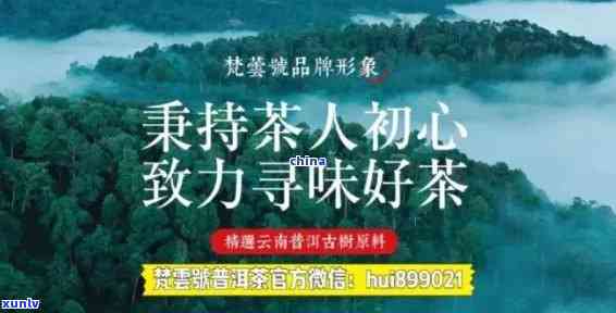 普洱茶招商网官网：提供普洱茶招商加盟方案，吸引茶叶商人入驻普洱茶商城。