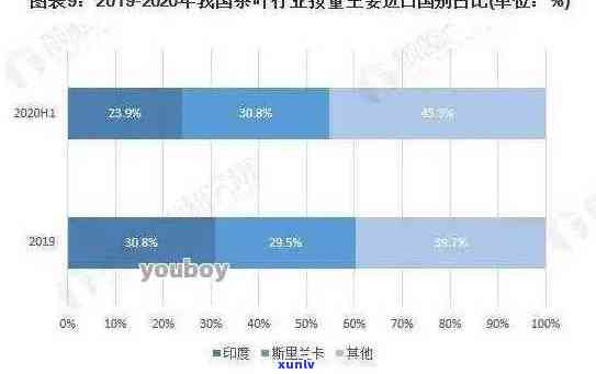 普洱茶市场环境分析总结：现状、挑战与展望