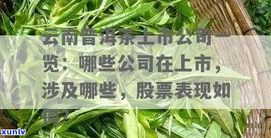 新澜沧古茶-普洱茶叶概念上市公司龙头股一览