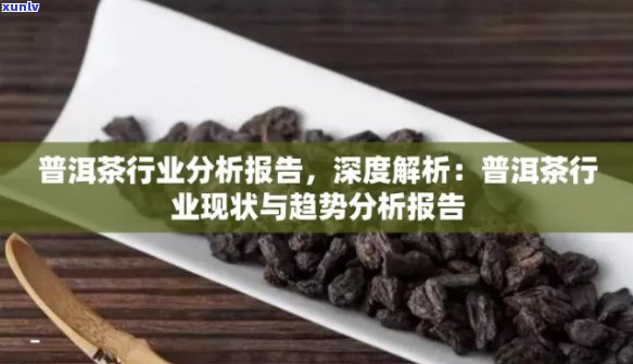 普洱茶存变化分析报告：过程变化总结与分析范文