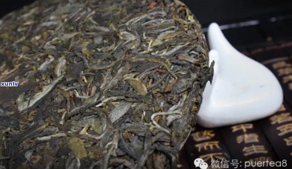 普洱茶存变化分析