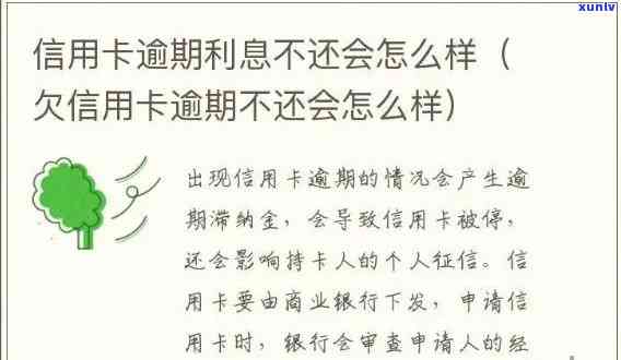 普洱茶对消化系统的影响：喝普洱茶是否会导致腹泻？如何避免不良反应？