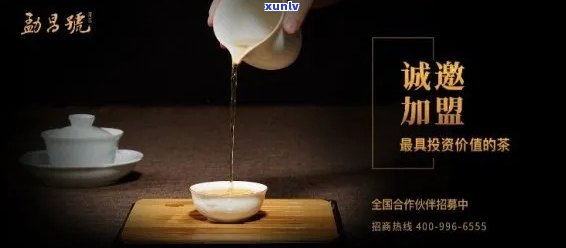 陕西优质普洱茶招商项目，一站式解决方案助力创业者成功加盟