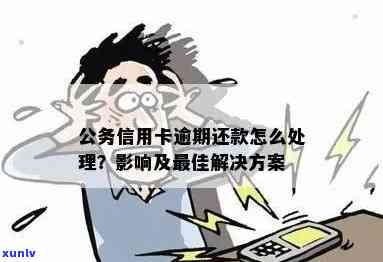 公务员信用卡逾期还款策略：处理 *** 与建议