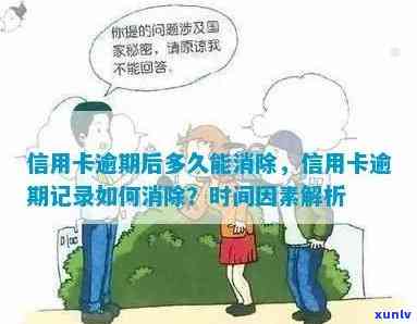 信用卡逾期记录的消除时间：了解修复的关键要素