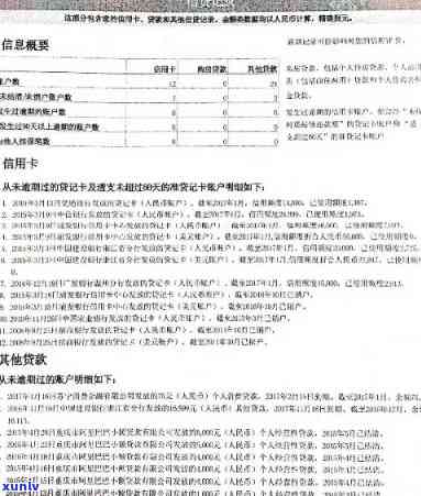 报告中信用卡逾期记录的影响及解决策略