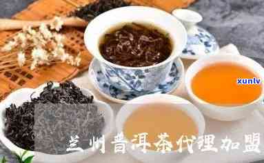 兰州普洱茶加盟商家：推荐、费用分析与排行榜指南