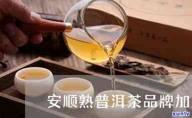 安顺普洱茶招商条件