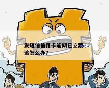 发短信信用卡逾期已立案，怎么办？什么意思？