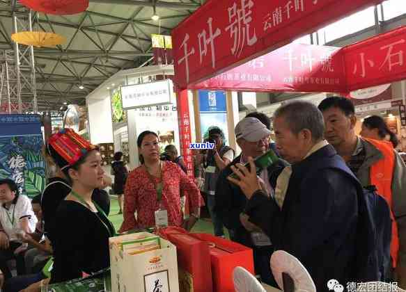 江普洱茶总部招商