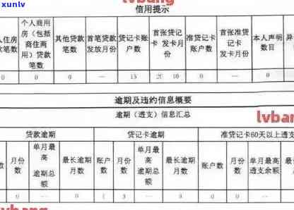 查询信用卡逾期记录及解决方案：全面了解信用状况与改善建议