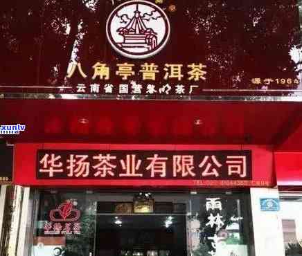 普洱茶行业领军加盟店