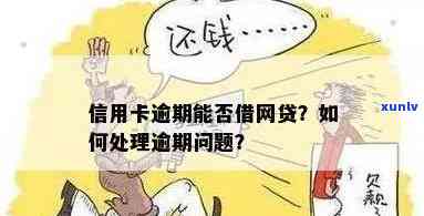 信用卡网贷逾期怎么办？如何处理已逾期的信用卡和网贷？