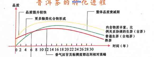 普洱茶：从生普洱到熟普洱的魅力转化过程详解