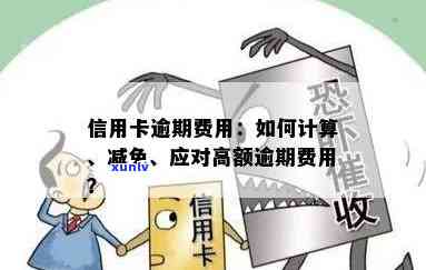 信用卡逾期费用详细解析：了解高额利息和罚款，避免不必要的财务损失