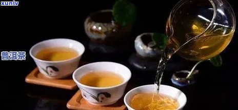 哪一年生产的普洱茶质量好？