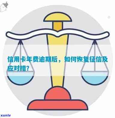 信用卡欠年费：逾期解决策略与信用恢复指南