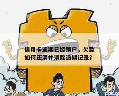 销户的信用卡逾期记录还保留：多久、如何处理与是否消除