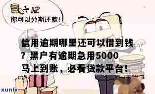 急需5000元资金？探索逾期贷款解决方案及可借款平台