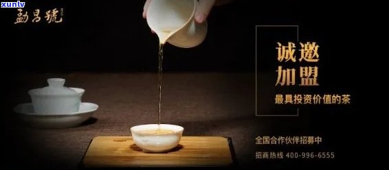 成都普洱茶招商加盟热线：探讨茶叶行业成功之道