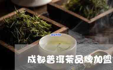 成都可靠普洱茶招商