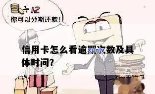 信用卡逾期次数和程度