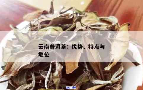 云南种植普洱茶的优势与劣势分析：区位优势及主要种植基地