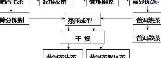 普洱茶加盟流程