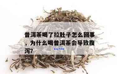 '[饮食文化]喝普洱茶会拉肚子吗？普洱茶引发的肠胃问题探讨'