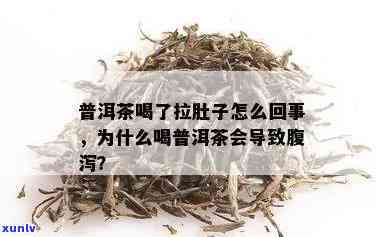 普洱茶会引起腹泻吗