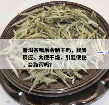 普洱茶会引起腹泻吗