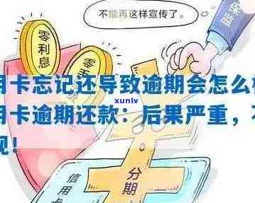 信用卡逾期还款全攻略：如何避免盲目处理，解决还款难题