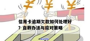 逾期信用卡还款策略：有效自救 *** 与技巧