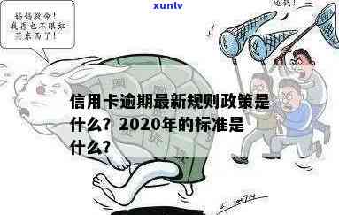 2020年信用卡逾期还款政策解读：最新规定与标准深度分析