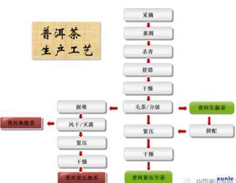 湖南普洱茶 *** 加工全攻略：从选购到品质控制，一站式解决您的疑问与需求