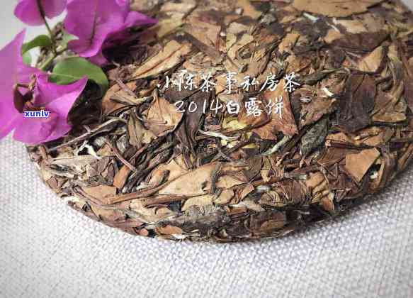 冲泡普洱茶茶饼的全方位指南：从选择到品鉴，让你体验口感与香气