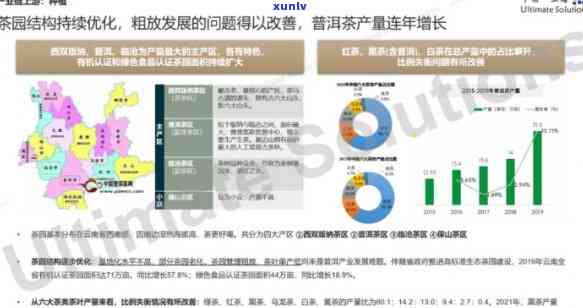 普洱茶宏观环境分析报告：全面洞察与解析