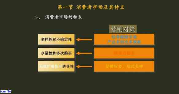 购市场消费者行为深度解析与目标人群分析