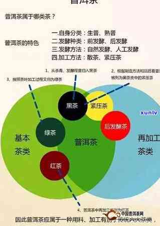 普洱茶目标客群分析