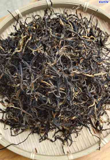 200年大树滇红茶