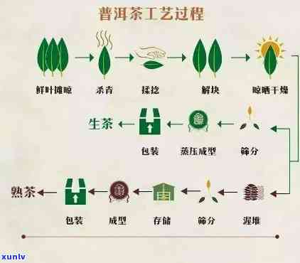 普洱茶杀青的含义、作用及过程详解：了解普洱茶 *** 的关键步骤