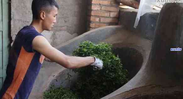 普洱茶传统杀青工艺流程及细节问题