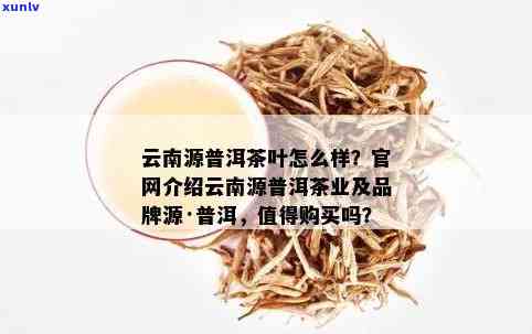 云南白药普洱茶官网：探索高品质普洱茶的全攻略及相关信息