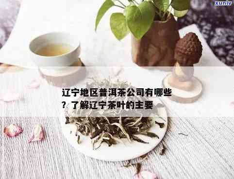 全面了解辽普洱茶加盟公司排名，助您轻松找到优质！