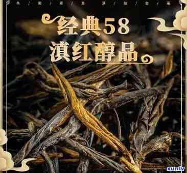 滇红经典58红茶价格品评及详细介绍，与滇红1号区别一探究竟