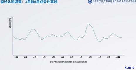 信用卡20万逾期两年：还款策略、影响与解决方案