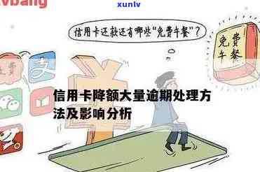 信用卡逾期半年的严重后果分析：信用评分大幅下降，如何应对？